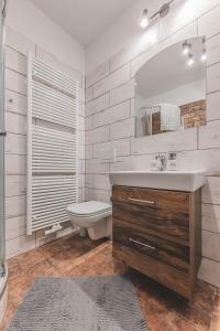 a bathroom with a sink and a toilet and a mirror at Podkrovní studio na Velkém náměstí s Wi-Fi zdarma in Hradec Králové +39 photos
