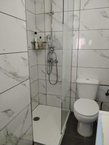 a white bathroom with a toilet and a shower at Regina Pacis (VALLE-LUZ) in Puerto de la Cruz