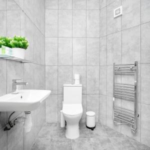 a bathroom with a white toilet and a sink at Cozy Apartment - On street parking - Rowley Regis 49AG in Halesowen