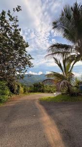 a road with a palm tree on the side of it at Main House 3BR, 3 Bath, Pool - 8 people in Jayuya