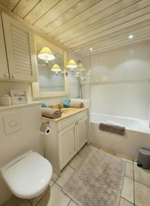 a bathroom with a toilet and a sink and a shower at Studio Vue sur le Lac d'Annecy Plage et Parking Privés in Duingt +38 photos