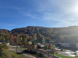 a view of a hill with trees on it at Superbe ski-in ski-out condo in Bromont