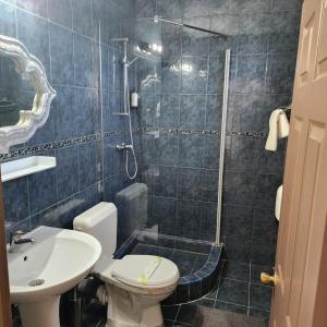 a bathroom with a shower and a toilet and a sink at Hotel Mantra in Arad