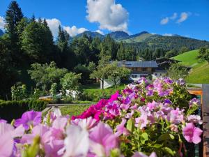 Φυσικό τοπίο κοντά σε αυτό το διαμέρισμα