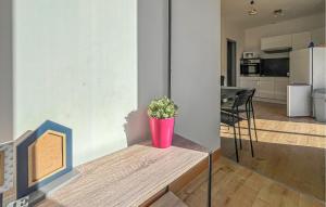 Η κουζίνα ή μικρή κουζίνα στο 1 Bedroom Gorgeous Home In Sernhac