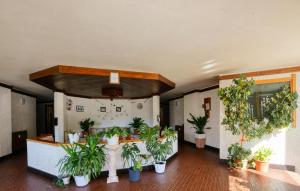 Κήπος έξω από το Cozy Apartment In Breuil-Cervinia With Wifi +13 φωτογραφίες