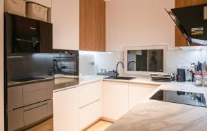 a kitchen with white cabinets and a stainless steel appliance at Amazing Home In Kerestinec With Wifi in Kerestinec