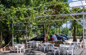 Κήπος έξω από το Beautiful Apartment In Casal Velino