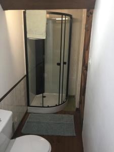 a glass shower in a bathroom with a toilet at Grange Cottage in Saint-Dolay +14 photos