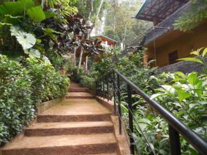 a stairway leading up to a building with plants at Le leopard d 'argent in Kandy