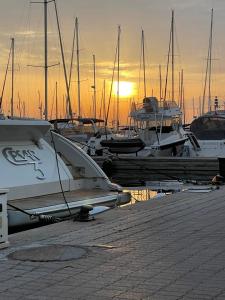 a group of boats docked in a marina at sunset at Elegant apartment Saint-Raphaël in La Celle-sous-Gouzon