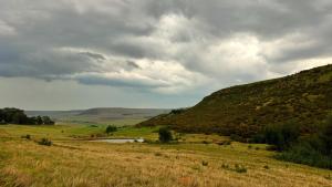 Photo de la galerie de l'établissement Rooikat Farm, à Memel