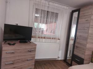 TV a/nebo společenská místnost v ubytování Mária Vendégház