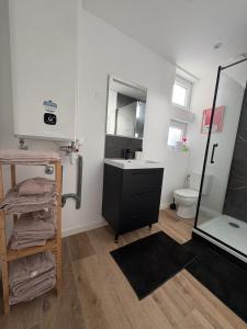 ein Badezimmer mit Waschbecken, Toilette und Spiegel in der Unterkunft Appartement Pop et coloré au coeur de Dunkerque in Dunkerque + 12 Fotos