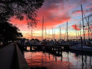 a group of boats docked at a marina at sunset at Pool and Close to dtwn w2 Bikes in St Petersburg
