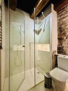 een glazen douche in een badkamer met toilet bij Equisoain in Monreal