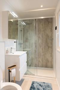 Un baño con ducha, lavabo e inodoro. en Chalet Vlinder, en Haarle