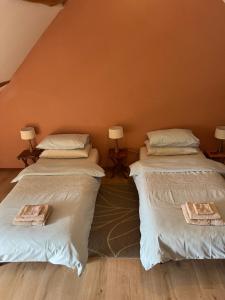 zwei Betten nebeneinander in einem Zimmer in der Unterkunft L'Hirondelle in Le Petit-Pressigny