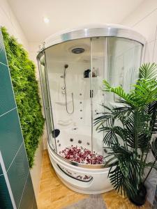 a bathroom with a shower with a plant in it at Twoje prywatne SPA - jacuzzi, sauna, tężnia solankowa in Kraków