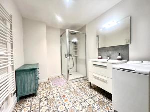 un baño con ducha y lavabo en Le souvenir Spacieux t2 aux portes du Futuroscope, en Saint-Georges-lès-Baillargeaux