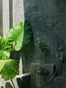 Φωτογραφία από το άλμπουμ του THE ISLaNDERS σε Ahangama