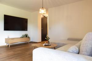 a living room with a couch and a tv at Heimbi-Home No 3, 4-6 Pers, EuropaPark, E-Ladesäule in Kappel-Grafenhausen