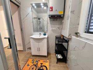 a bathroom with a sink and a mirror and a bicycle rug at Cozy apartment near downtown in Turin +26 photos