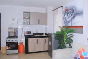 Kuchyň nebo kuchyňský kout v ubytování J hope homes Naivasha