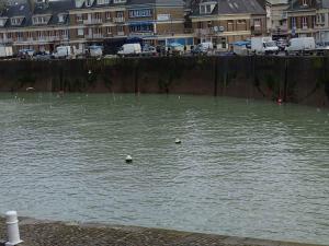 een waterlichaam met eendjes erin bij Marc 3 in Saint-Valéry-en-Caux