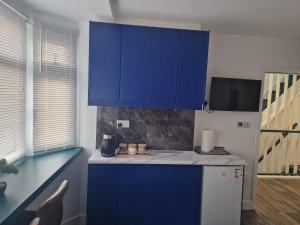 Kuchyň nebo kuchyňský kout v ubytování Blue double room at Albion's
