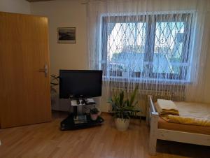 a room with a television and a bed and a window at Ferienwohnung Lygri in Olpe