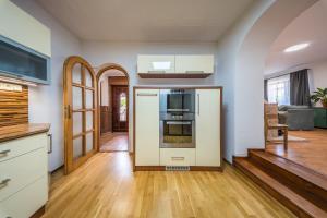 a kitchen with a refrigerator and a stove top oven at Chalupa Pod Starú horú in Bohuslavice
