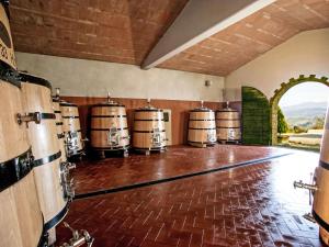 Fotografie z fotogalerie ubytování Apartment Santa Marta by Interhome v destinaci Cinigiano