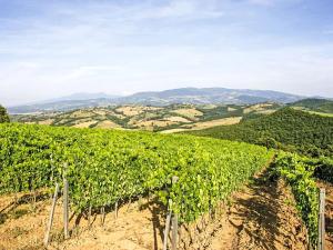 Příroda nedaleko prázdninového domu