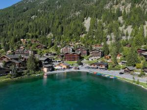 an aerial view of a resort on a lake at Apartment Parc B 431 by Interhome in Champex
