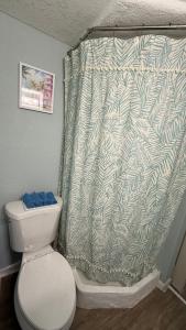 a bathroom with a toilet and a shower curtain at Tropical Beach Studio Getaway B in Cocoa Beach