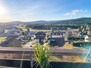 a view of a town from the balcony of a house at Apartment Hochstein by Interhome in Haidmühle
