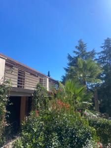 una casa con un montón de arbustos y árboles en Agriturismo Cavendo Tutus, en Roma