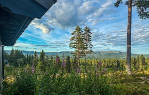 Příroda nedaleko prázdninového domu + 7 fotografií