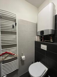 a bathroom with a white toilet and a sink at Apartmán Husova in Prachatice