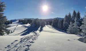 Το White Rabbit Apartment τον χειμώνα