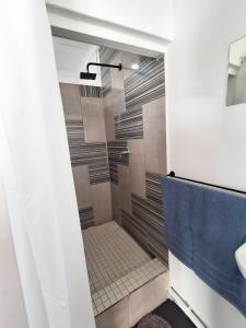 a bathroom with a shower with a blue curtain at Bokkomblommetjie in Lambertʼs Bay