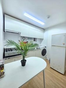 a white kitchen with a potted plant on a table at 윤 작가의 숙소 in Seoul