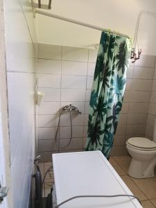 サンタンヌにあるOrchidéのトイレとシャワーカーテン付きのバスルーム