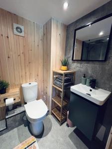een badkamer met een toilet, een wastafel en een spiegel bij Old Stone Byre in Totaig +10 foto's