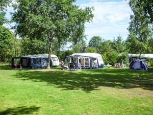 un grupo de tiendas de campaña en un campo con un árbol en Resort Veldhoven, en Veldhoven