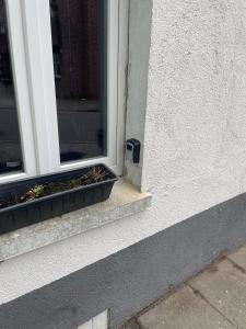 里尔Ferienwohnung StadtNest, 15210的窗台上放着一盆植物