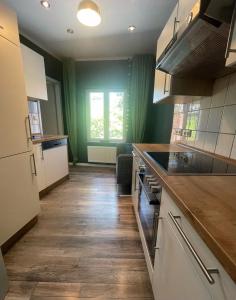 里尔Ferienwohnung StadtNest, 15210的厨房设有绿色的墙壁和木地板