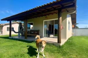 a dog standing in the grass in front of a house at Morada Carmem in Praia do Rosa