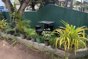 Zahrada ubytování SJ7 Guest House